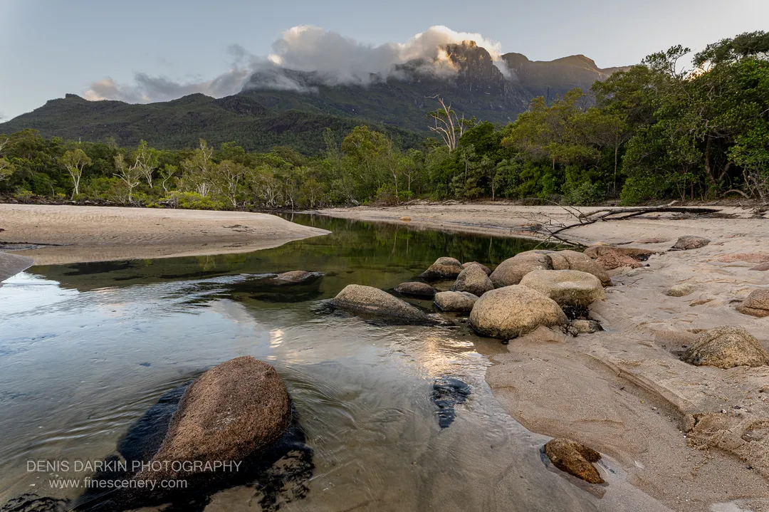 nature photograph. V. 20mm.