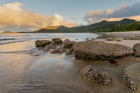 Barnacle- and shell-encrusted boulders sit at the waterline of Little Ramsey Bay as small waves wash the sunlit sand, with a forested headland visible beyond.