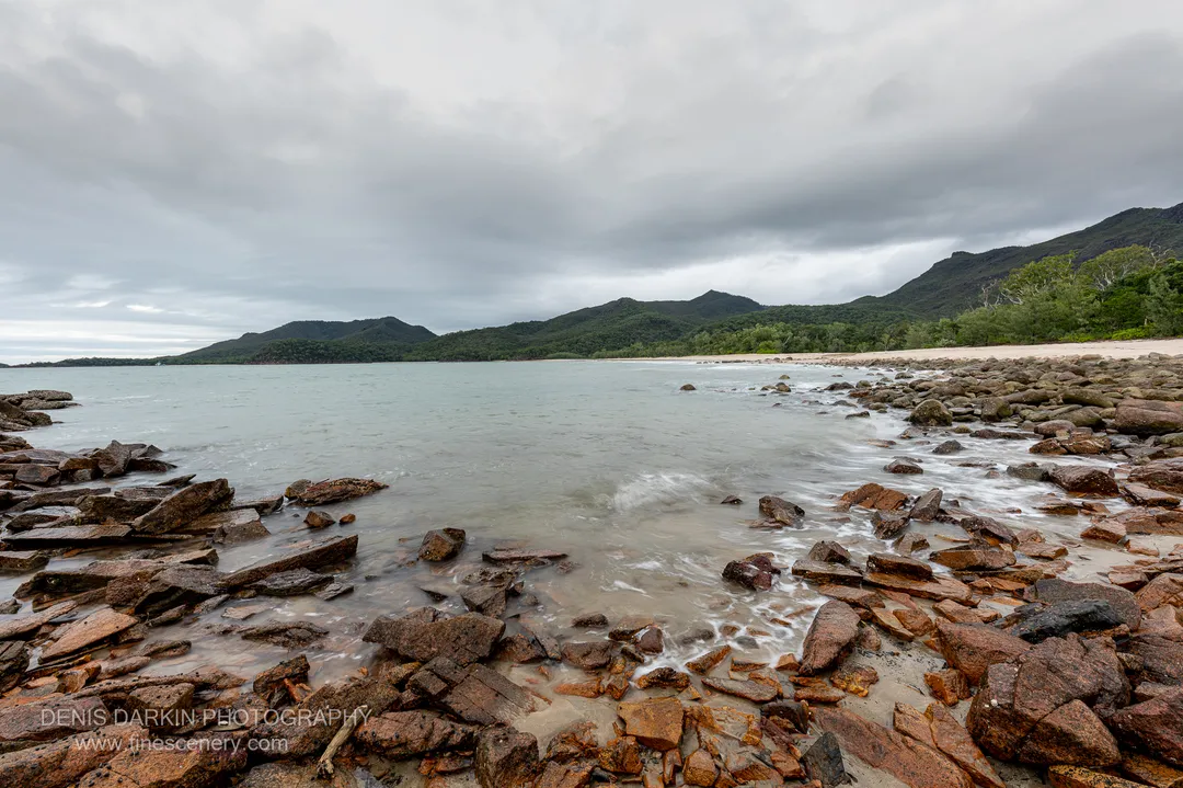 nature photograph. V. 14mm.