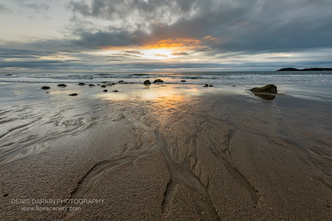 nature photograph. V. 14mm.