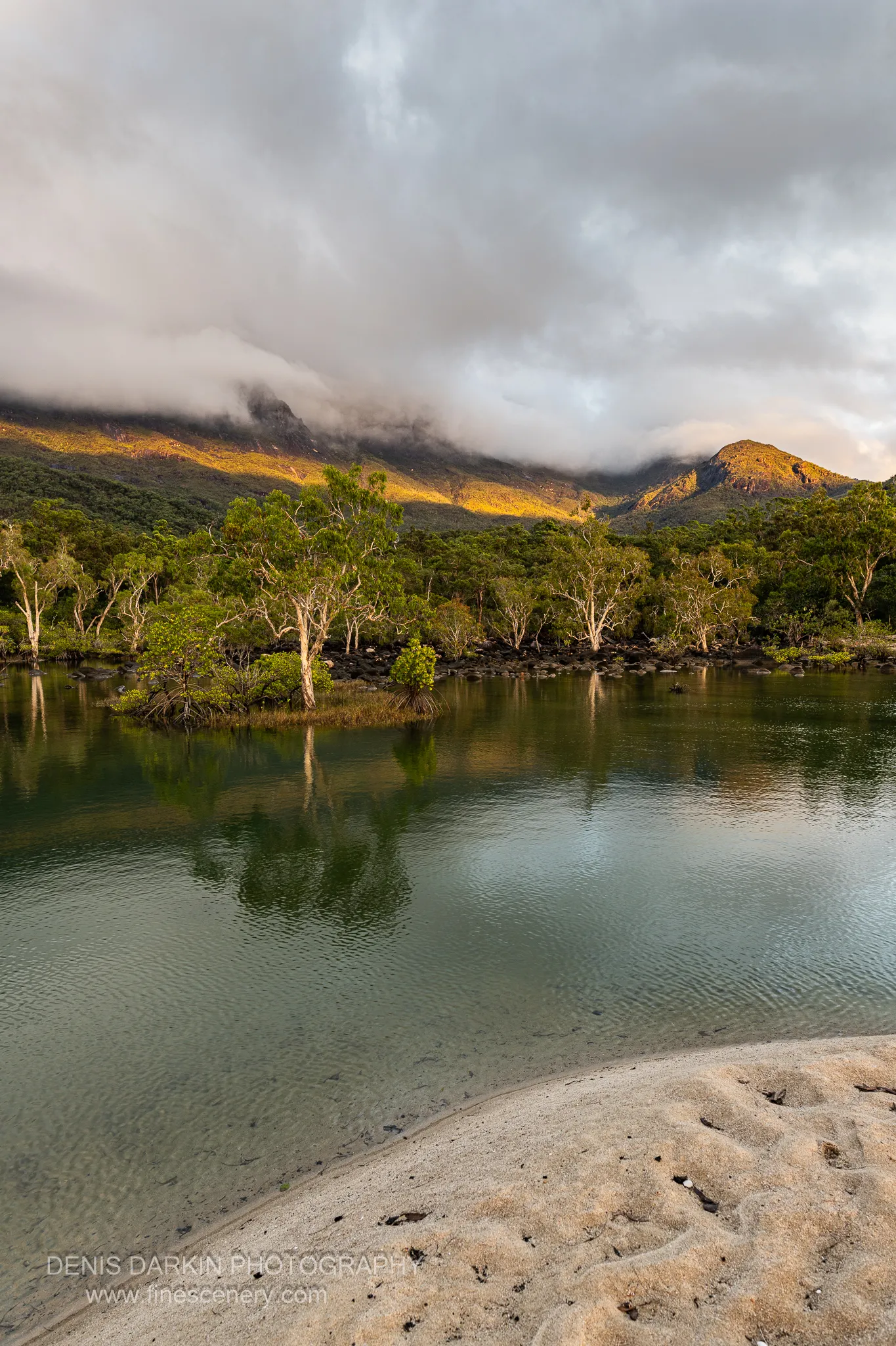 Pale-trunked paperbark trees on a small island in a glassy green lagoon at Little Ramsey Bay reflect into still water beneath a cloud-covered range.