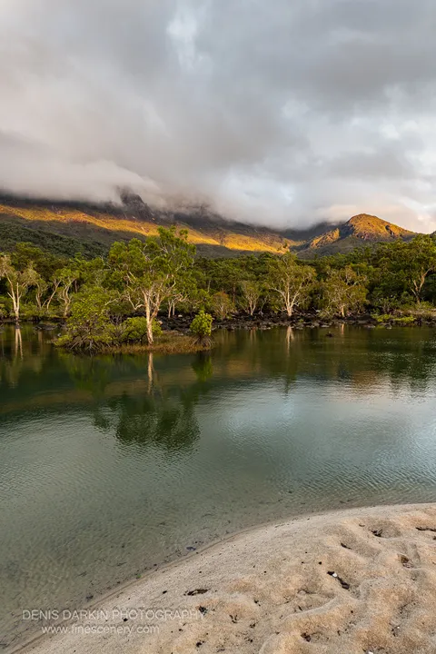 Pale-trunked paperbark trees on a small island in a glassy green lagoon at Little Ramsey Bay reflect into still water beneath a cloud-covered range.