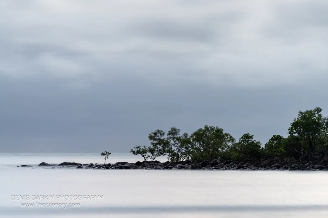 nature photograph. V. 300mm.