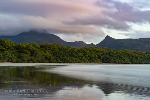 Soft pink dawn cloud over forested ridges and a sharp conical peak at Zoe Bay, the wet sandflat below returning a pale sky reflection.
