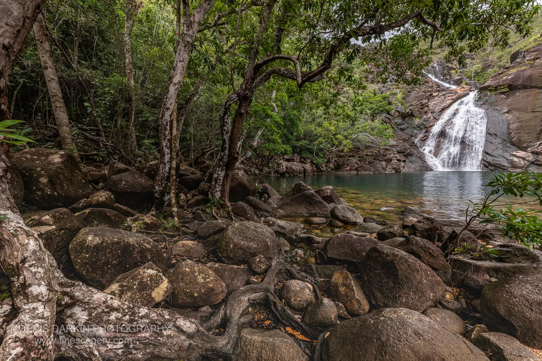nature photograph. V. 14mm.