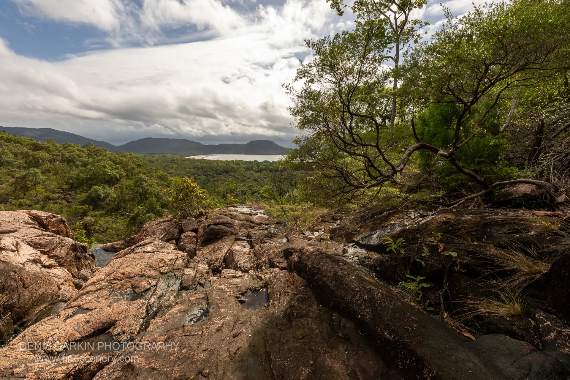 A windswept tree leans over the bare granite lip above Zoe Falls, with Zoe Bay and the sea visible over the rainforest canopy below.