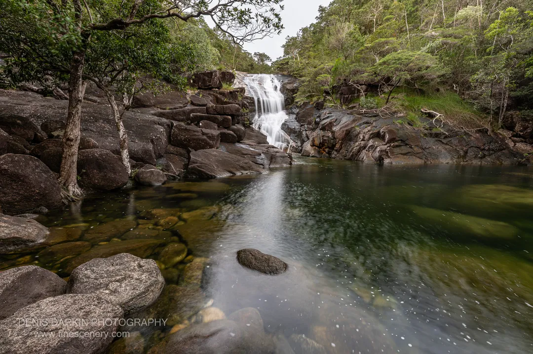 nature photograph. V. 14mm.