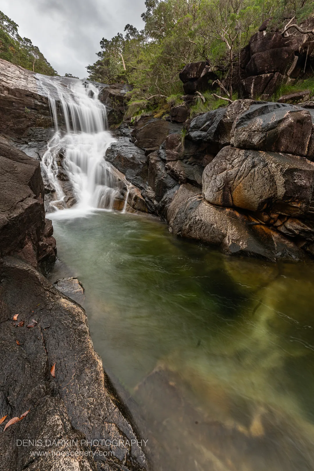 nature photograph. V. 14mm.