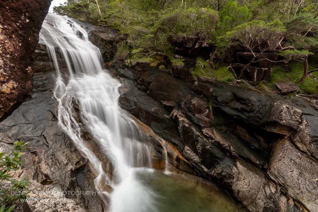 nature photograph. V. 14mm.