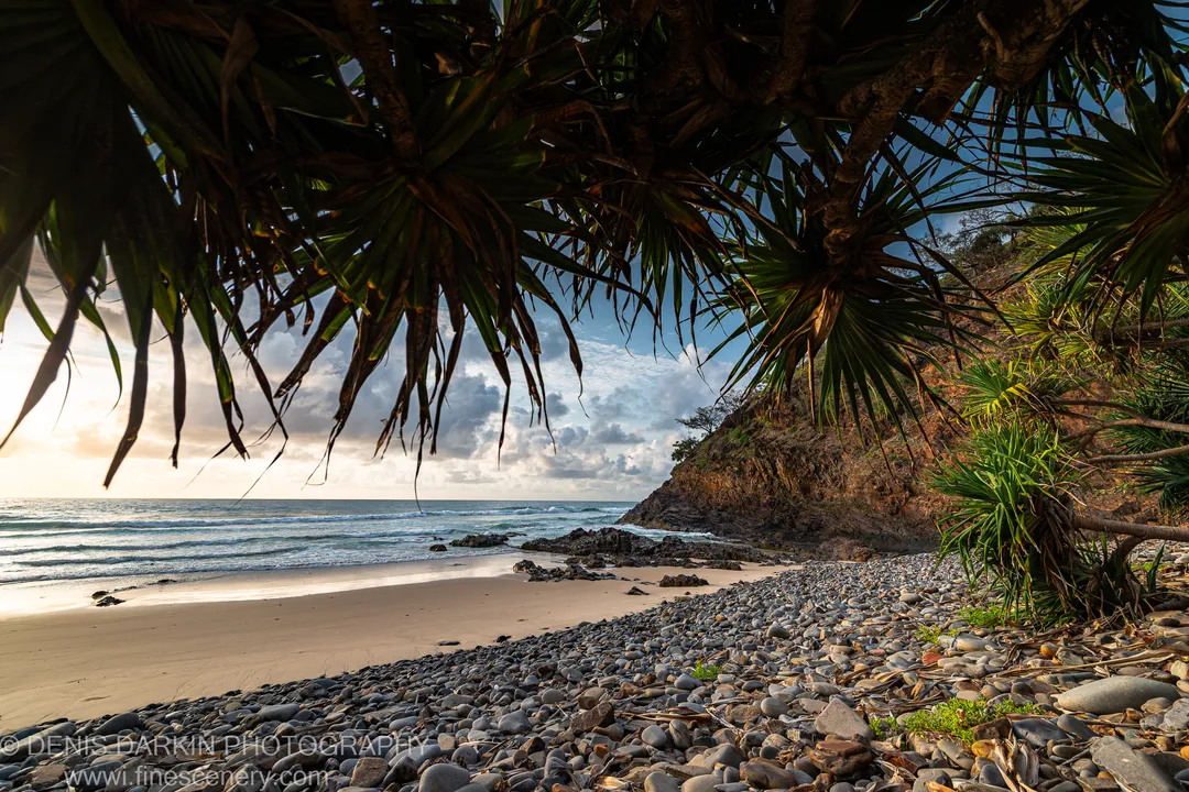 Palm fronds overhang a pebbled shore at Byron Bay, with ocean waves breaking beside a shadowed cliff face at dawn.