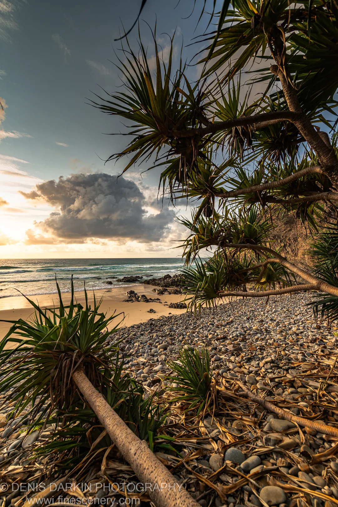 Coastal scrub and spiky leaves in the foreground before a pebble beach and ocean under heavy cloud on the Queensland coast.