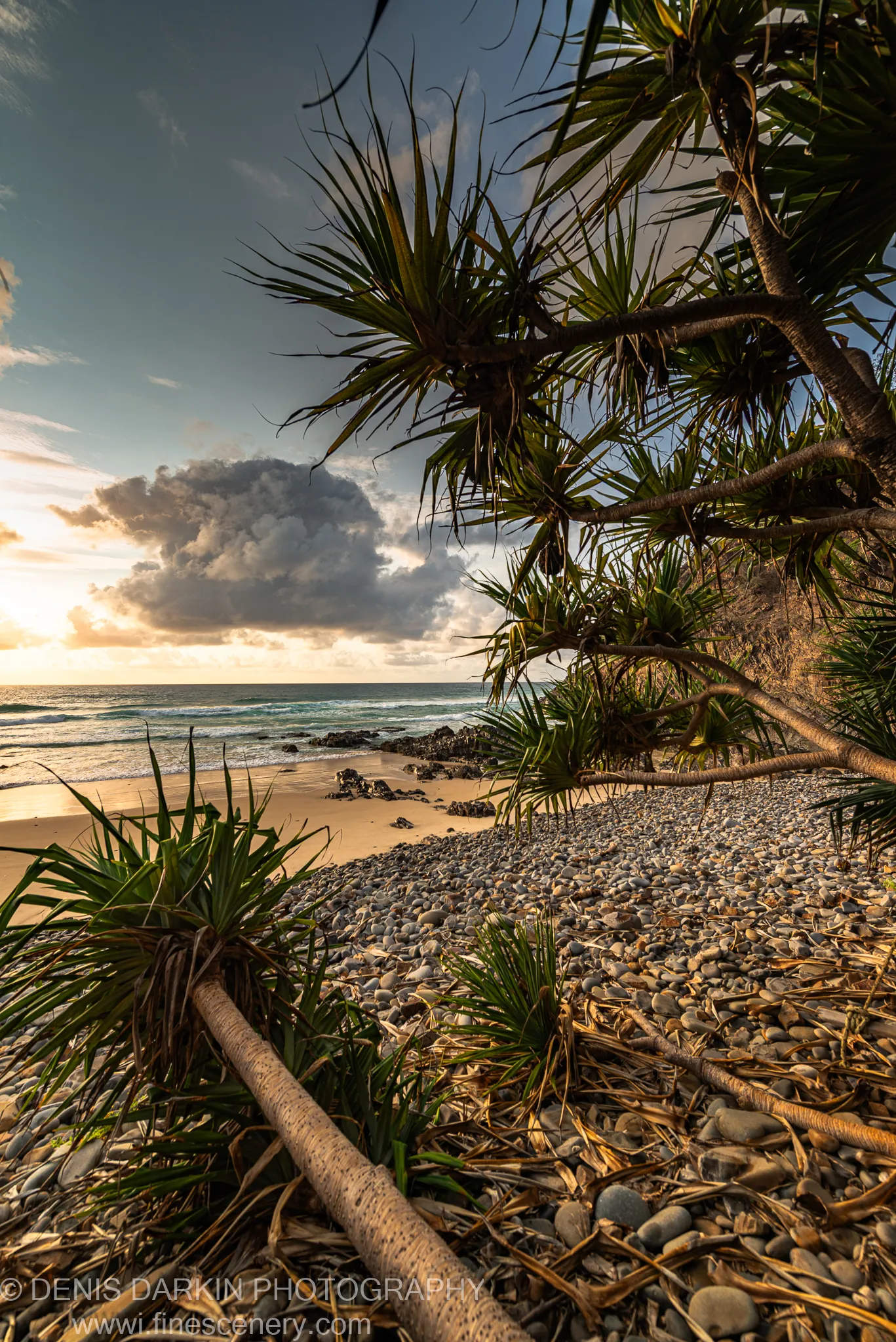 Coastal scrub and spiky leaves in the foreground before a pebble beach and ocean under heavy cloud on the Queensland coast.