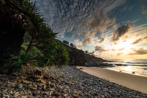 Dark spiky vegetation and rocky cliff beside smooth grey pebble stones curving toward the ocean under golden light on the Queensland coast.