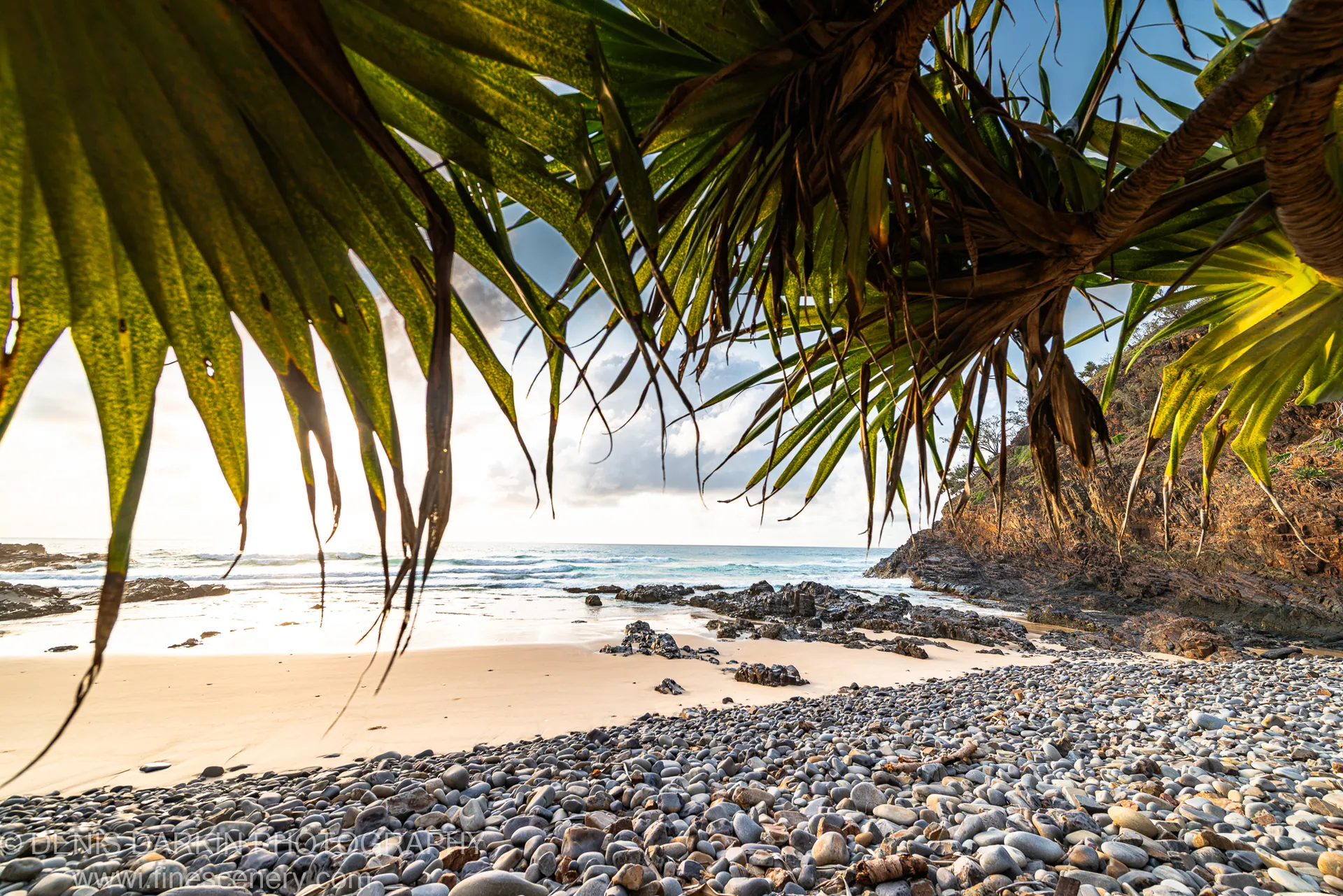 Backlit pandanus fronds arch over smooth grey pebbles and a sandy cove, with sunlight filtering through the canopy at dawn.