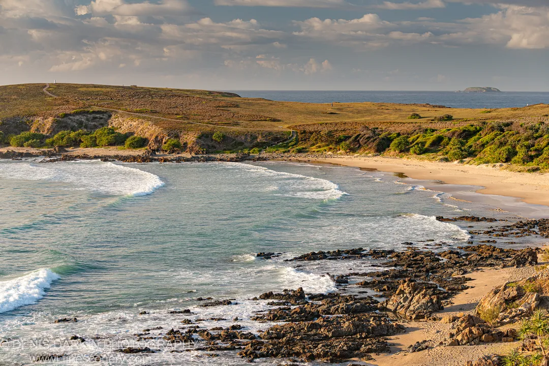 Soft morning light falls on dark rocks and a sandy foreshore at Coffs Harbor, with a grassy headland and distant island beyond.
