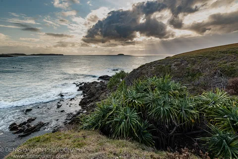 Pandanus palms on a grassy clifftop at Coffs Harbor with crepuscular rays through storm clouds above the rocky shoreline and ocean below.