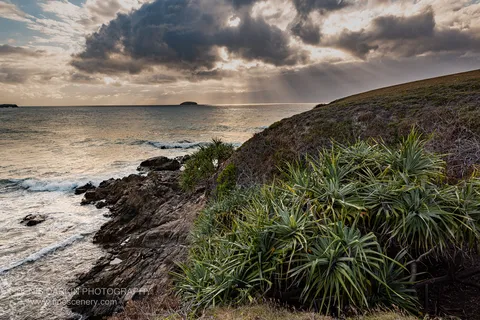 Crepuscular rays break through storm clouds over the Coffs Harbor headland at dawn, with pandanus scrub and rocky shoreline in the foreground.