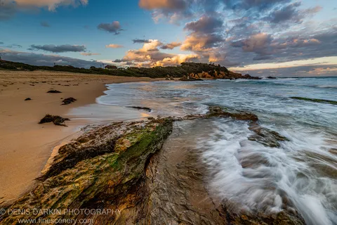 Moss-covered rock in the foreground catches warm dusk light as blurred surf runs past toward a headland with houses, New South Wales.