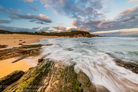 Long-exposure waves wash over moss-covered rock as a sandy beach curves toward a vegetated headland below a dusk sky, South Coast, New South Wales.