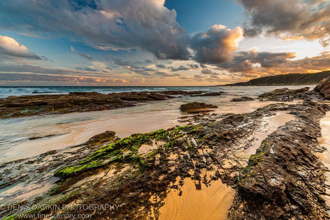 Warm dusk light falls on mossy rocks and tide pools, with wet sand between outcrops and a wide ocean horizon beyond, New South Wales.