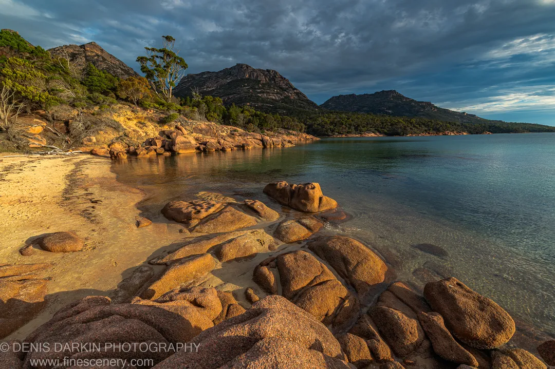 Sandstone outcrops covered in green moss line the foreground on a South Coast beach, with wet-sand reflections and smooth long-exposure surf at sunrise.