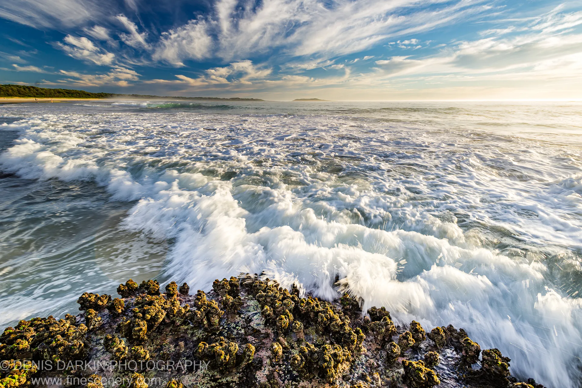 Barnacle-encrusted rocks in the foreground with white seafoam from crashing waves along the New South Wales coast at summer dawn.