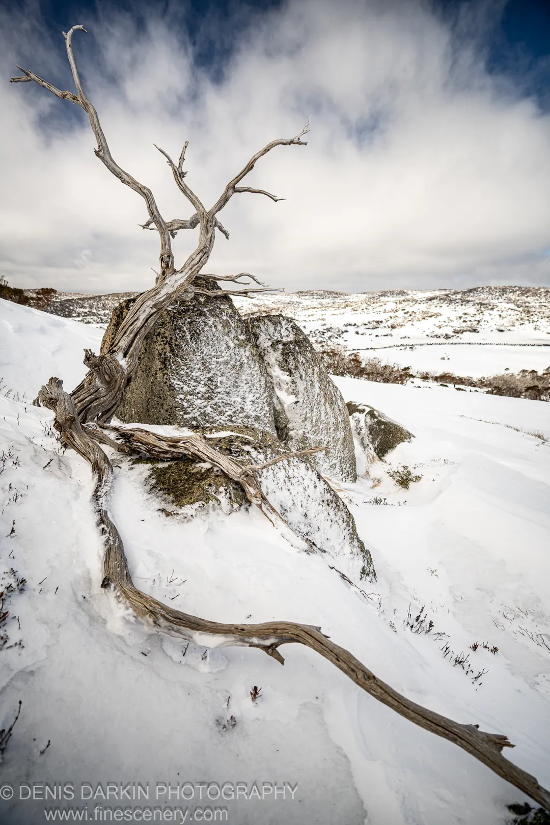 A bleached dead branch leans against a mossy granite boulder in deep snow at Perisher Valley, with snow-covered hills receding into haze.