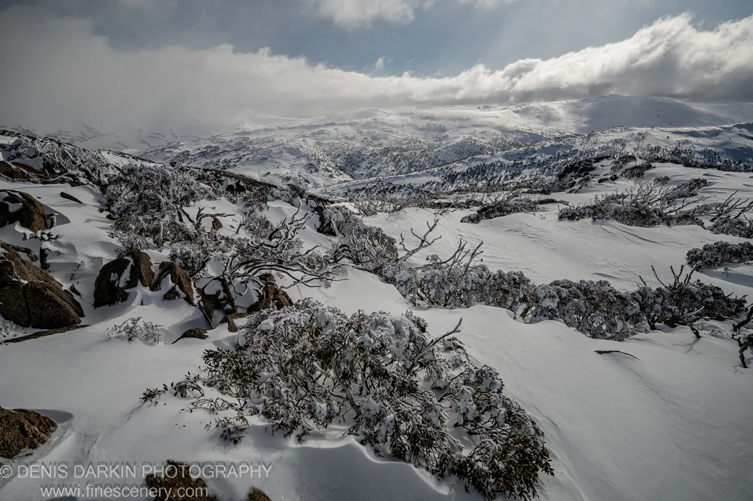 Snow covers dark granite boulders and frost-laden shrubs in the foreground at Perisher Valley, with rolling mountain ridges fading into blue haze.