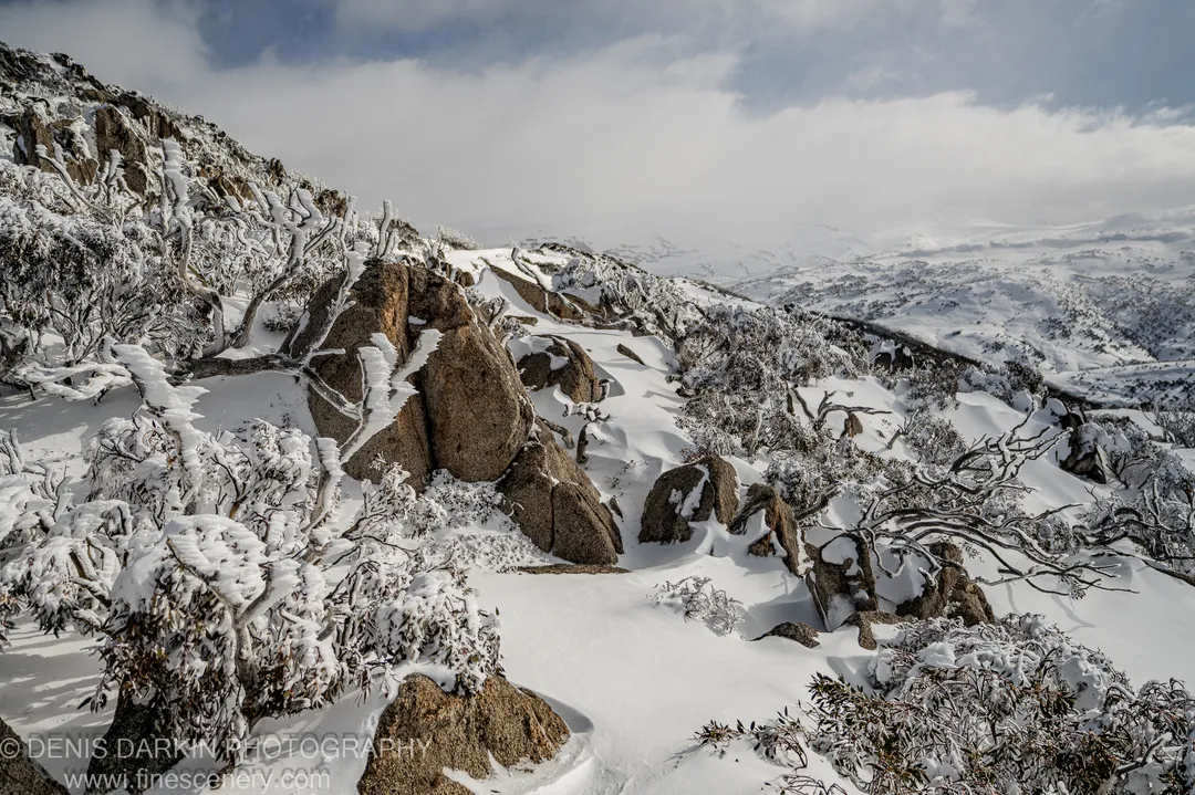 Granite boulders emerge from deep winter snow at Perisher Valley, with ice-laden branches on the slope and a misty valley stretching below.