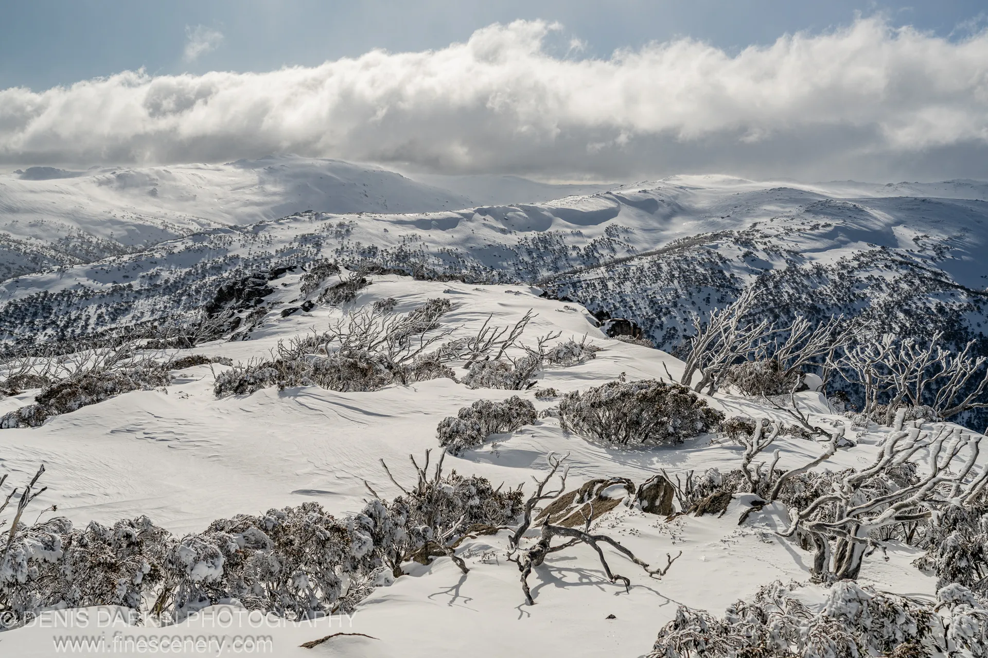 Skeletal bare branches push through deep snowdrifts at Perisher Valley, with snow-covered ridges extending toward low winter clouds in the distance.