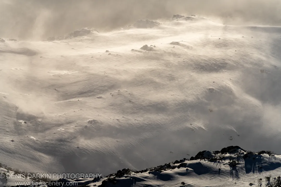 Low-angle winter sun catches wind-drifted snow on an alpine slope, while sparse dark scrub casts long shadows across the white surface.