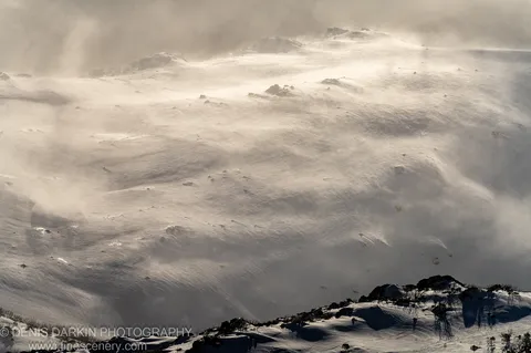Low-angle winter sun catches wind-drifted snow on an alpine slope, while sparse dark scrub casts long shadows across the white surface.
