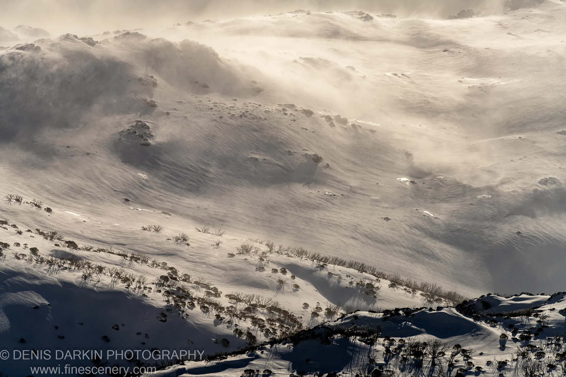 A snow slope at Perisher Valley carries dark shrubs in the foreground while mist moves across the upper ridges in warm afternoon light.