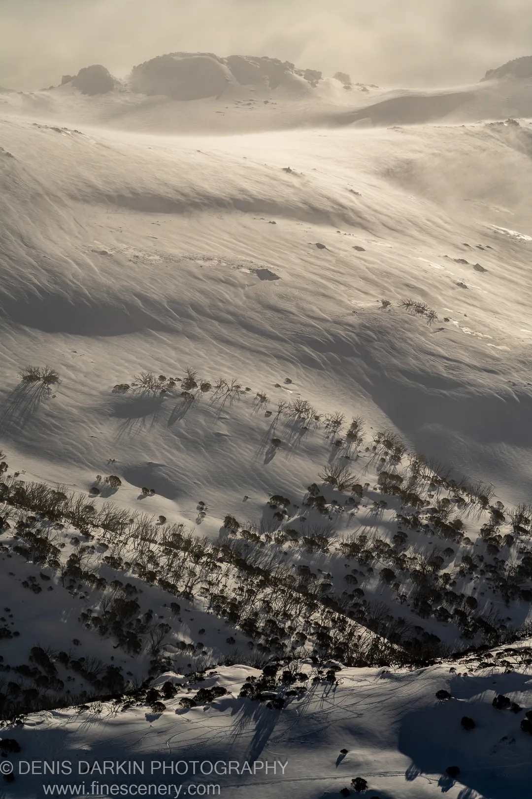 Strong low-angle afternoon light casts elongated shadows from dark scrub across smooth snow drifts toward rounded rock formations on a distant Perisher ridge.
