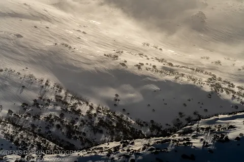 Sparse alpine shrubs cast rhythmic bands of shadow across wind-scoured snow on a diagonal ridgeline above Perisher Valley, August 2025.