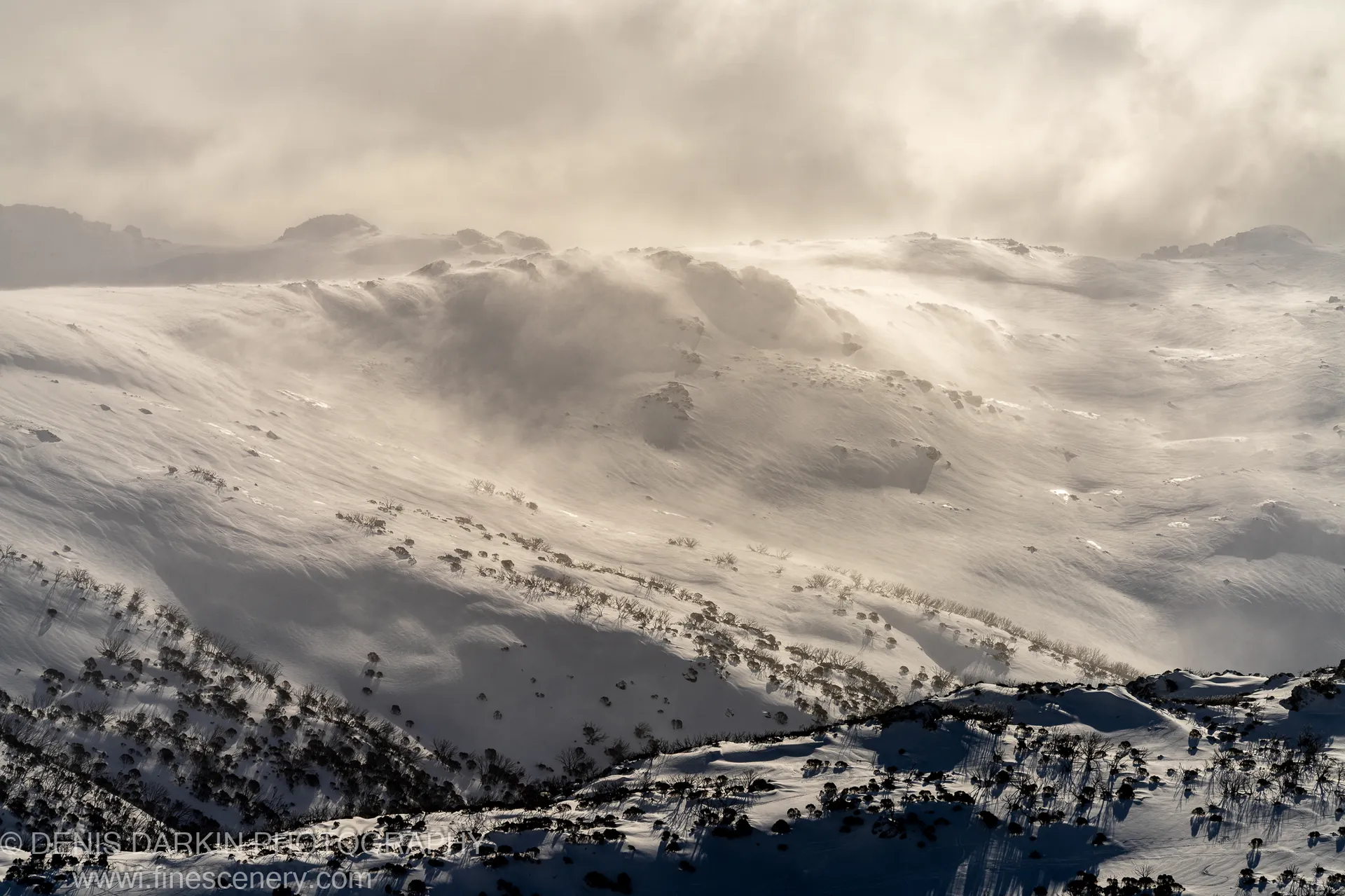 Sparse low scrub casts stark diagonal shadows across wind-blown slopes at Perisher, with a ground blizzard softening the distant ridgelines to haze.