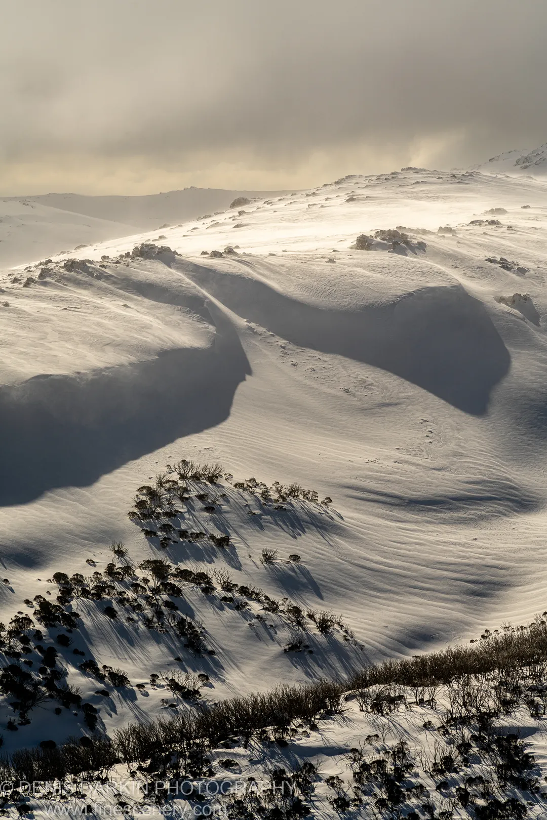 Low winter sun casting long shadows across snow-covered alpine slopes at Perisher, with dark subalpine shrubs in the foreground.