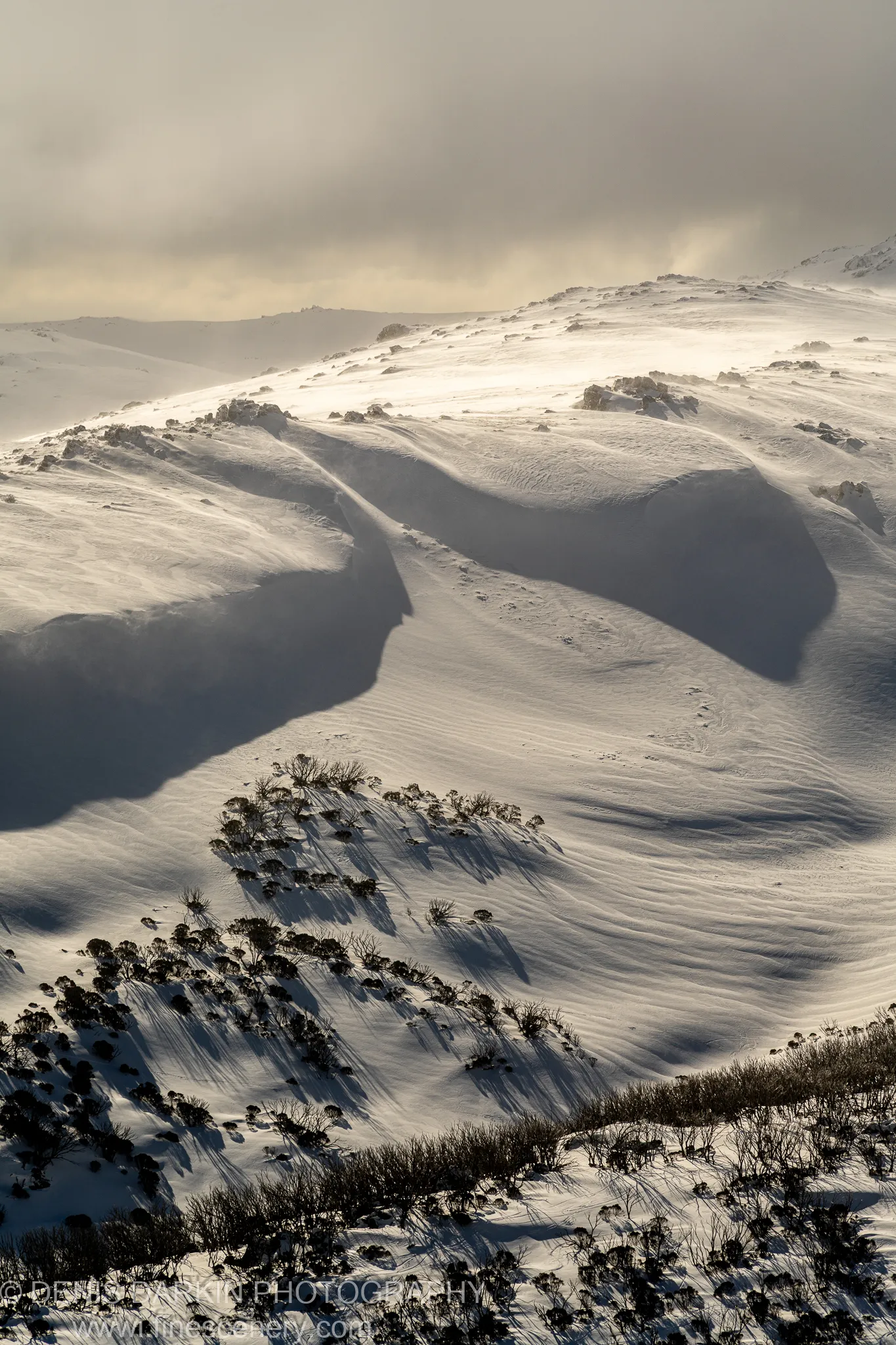 Low winter sun casting long shadows across snow-covered alpine slopes at Perisher, with dark subalpine shrubs in the foreground.