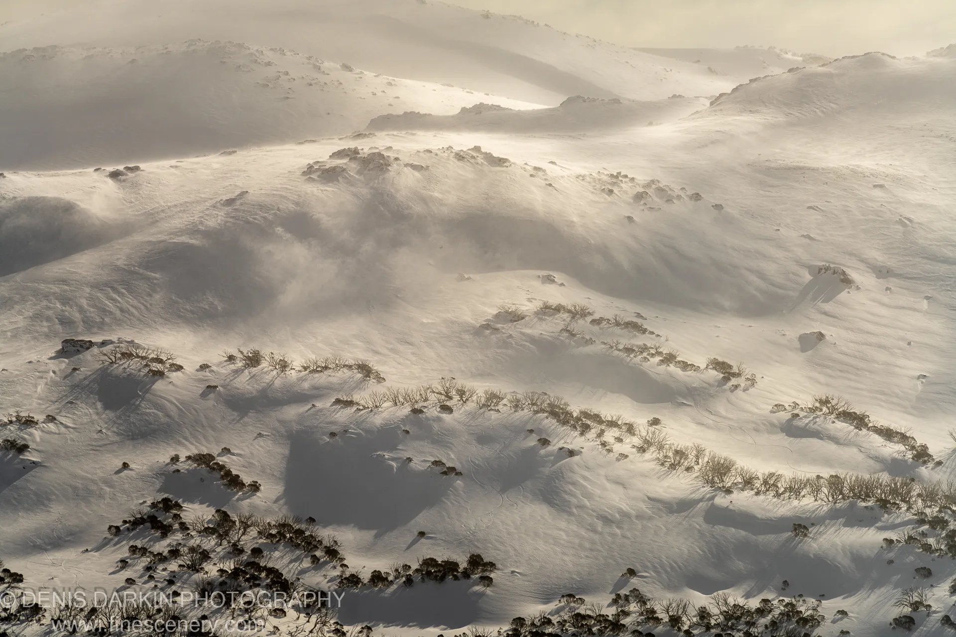 Rolling snow-covered hills at Perisher Valley with wind-sculpted drifts and dark scrubby vegetation in the foreground, under warm hazy winter light.