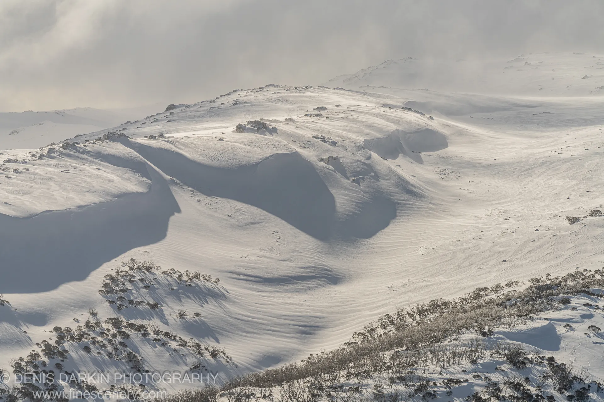 Frost-dusted subalpine shrubs in the foreground of a layered alpine snowfield at Perisher Valley, with smooth drifts and a rocky ridge beyond.