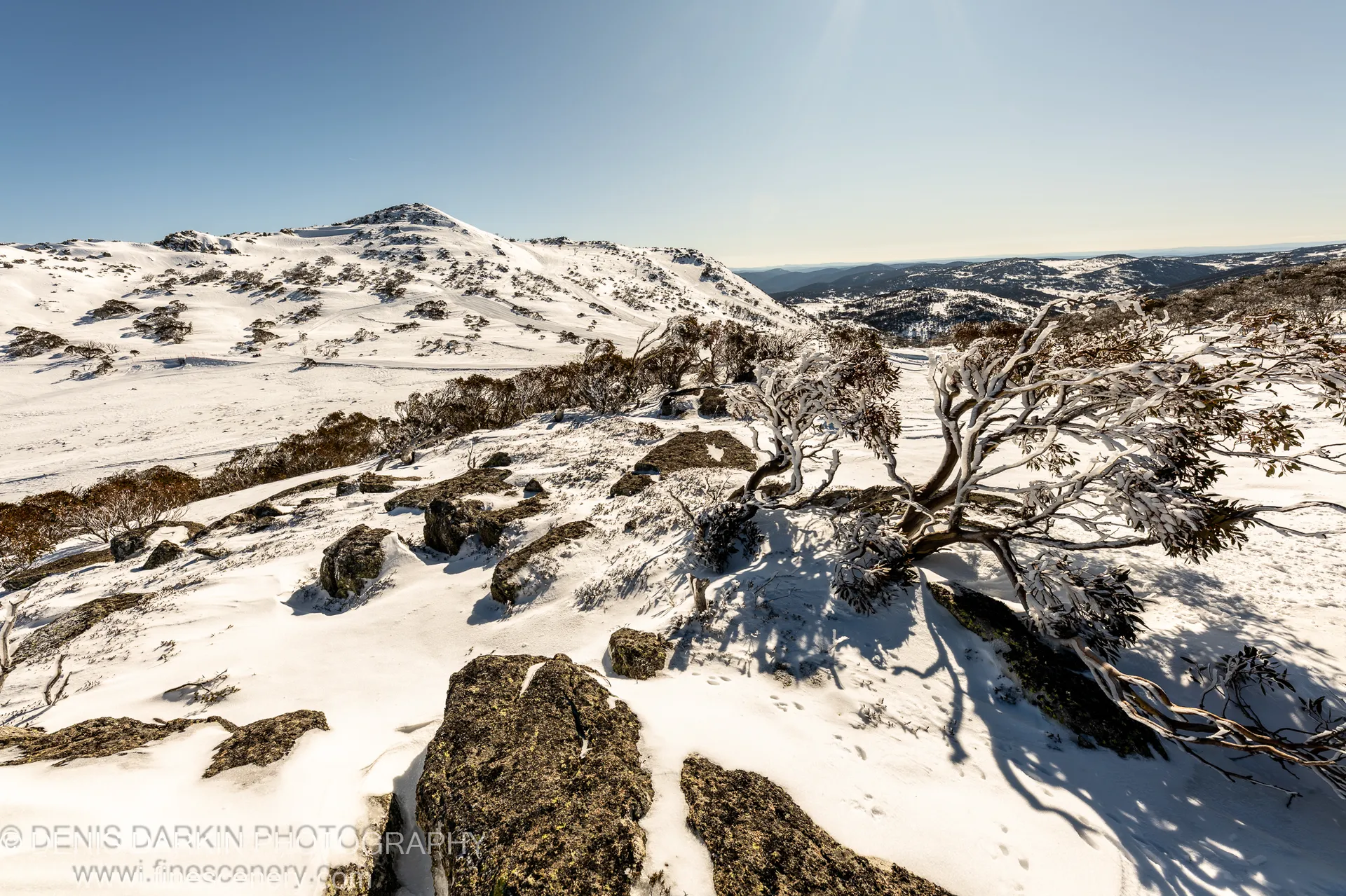 Dark boulders scatter across a snowfield at Perisher Valley, beside a frost-covered leaning tree with alpine hills and a solitary peak beyond.