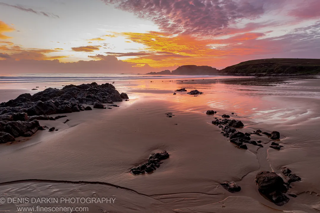 Wet sand reflecting a pink and orange sunrise sky near Coffs Harbor, with dark jagged rocks and headlands in the distance.