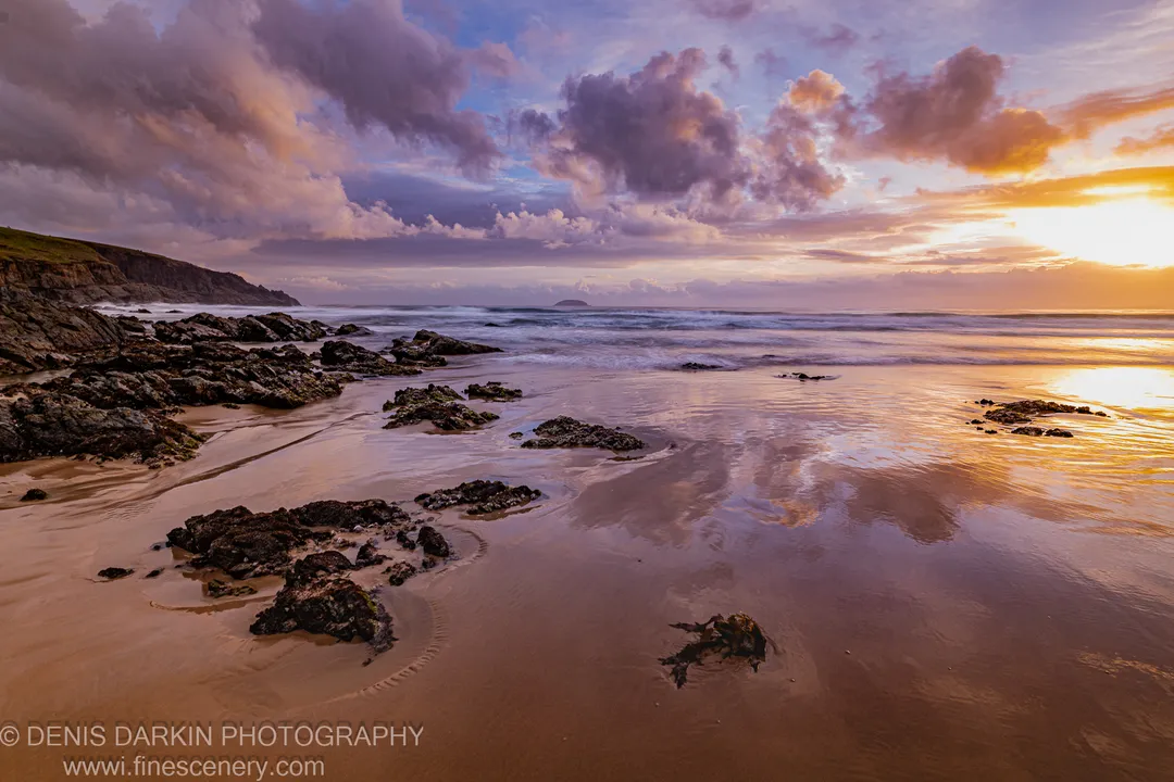 Warm dawn light reflects in wet sand on the Coffs Harbor coast beneath purple clouds and a distant island silhouette on the horizon.