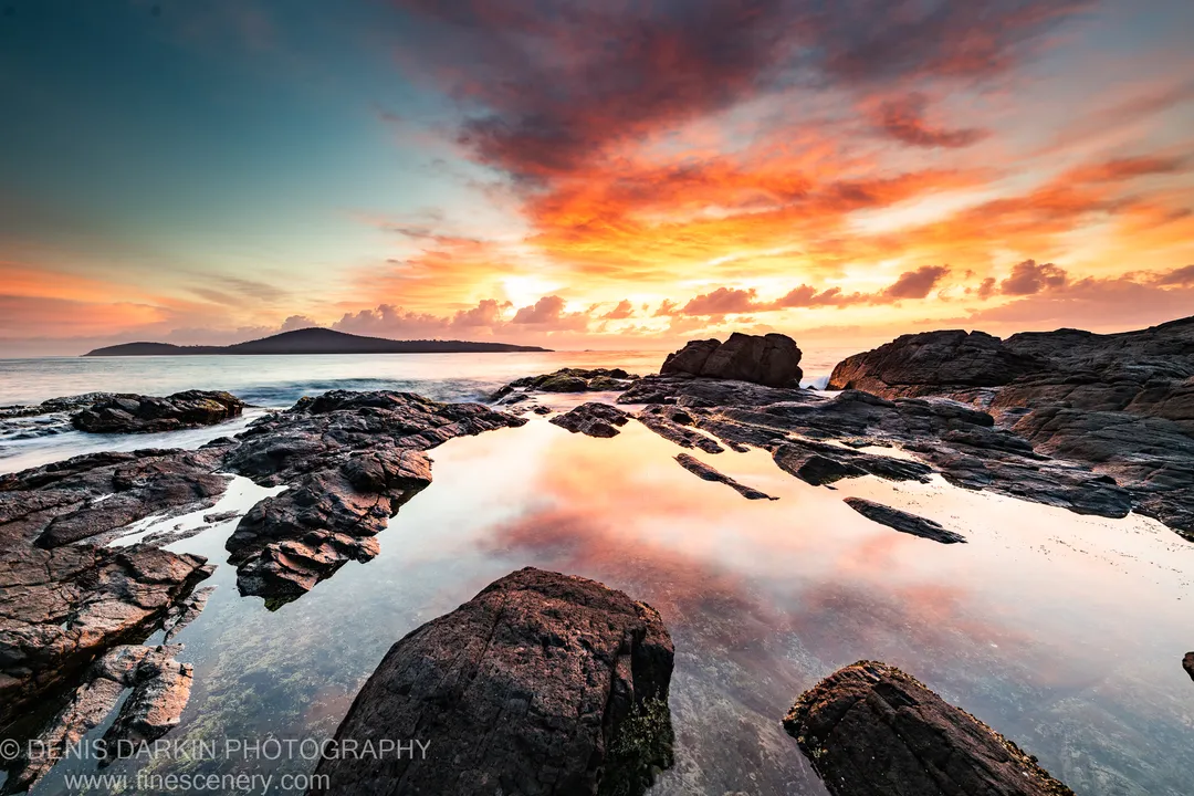 A central tidal pool mirroring the sunrise sky at Nelson Bay, with a headland silhouetted on the horizon and wet rocks below.
