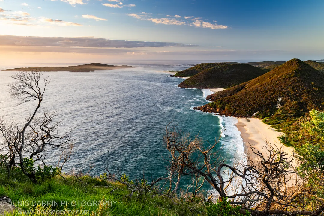 Twisted bare branches stand in the foreground above a crescent of white sand and turquoise water at Nelson Bay, New South Wales.