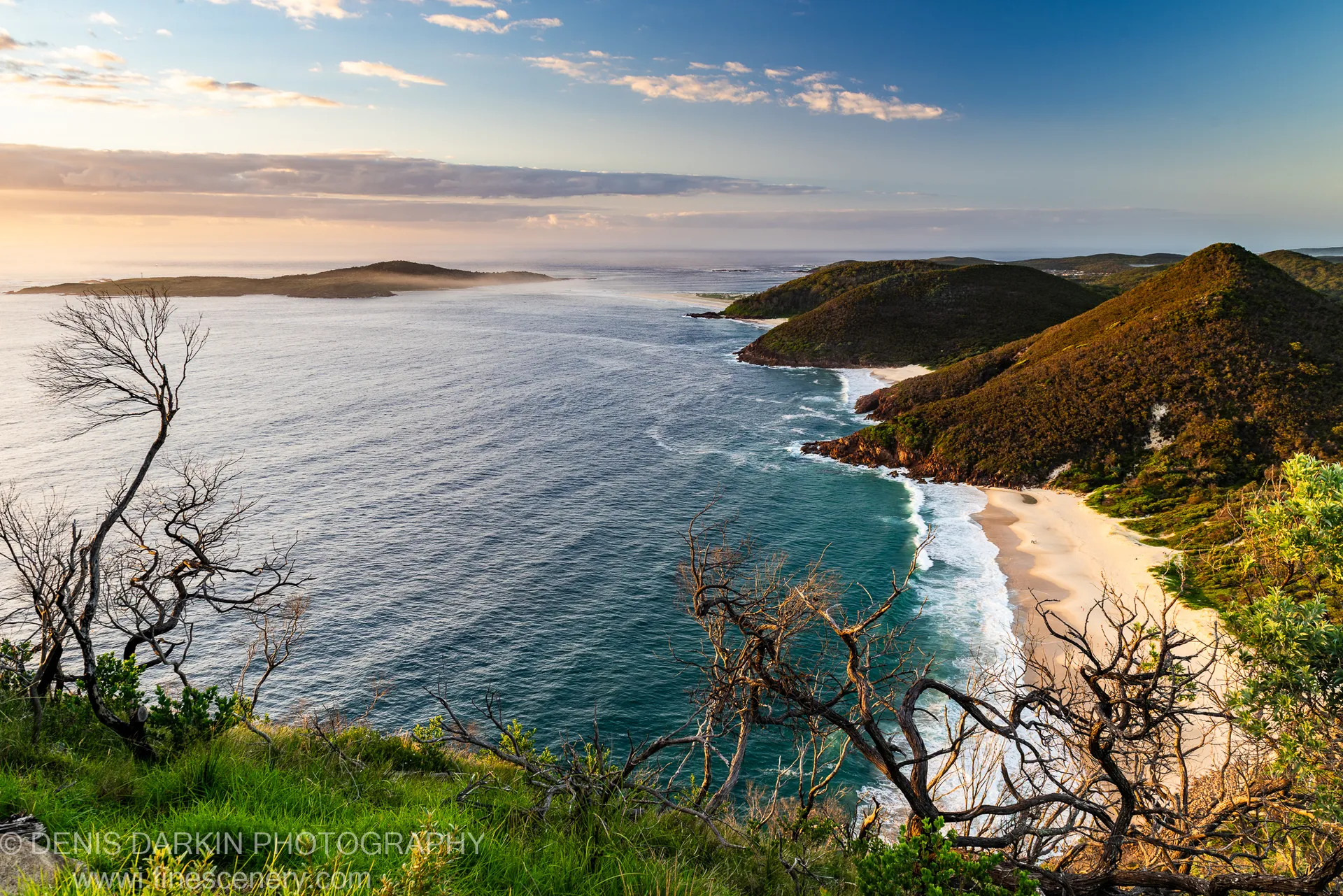 Twisted bare branches stand in the foreground above a crescent of white sand and turquoise water at Nelson Bay, New South Wales.