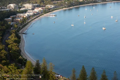 Elevated view over Nelson Bay, numerous boats at anchor on calm water, curving sandy beach, and white residential buildings among coastal trees.