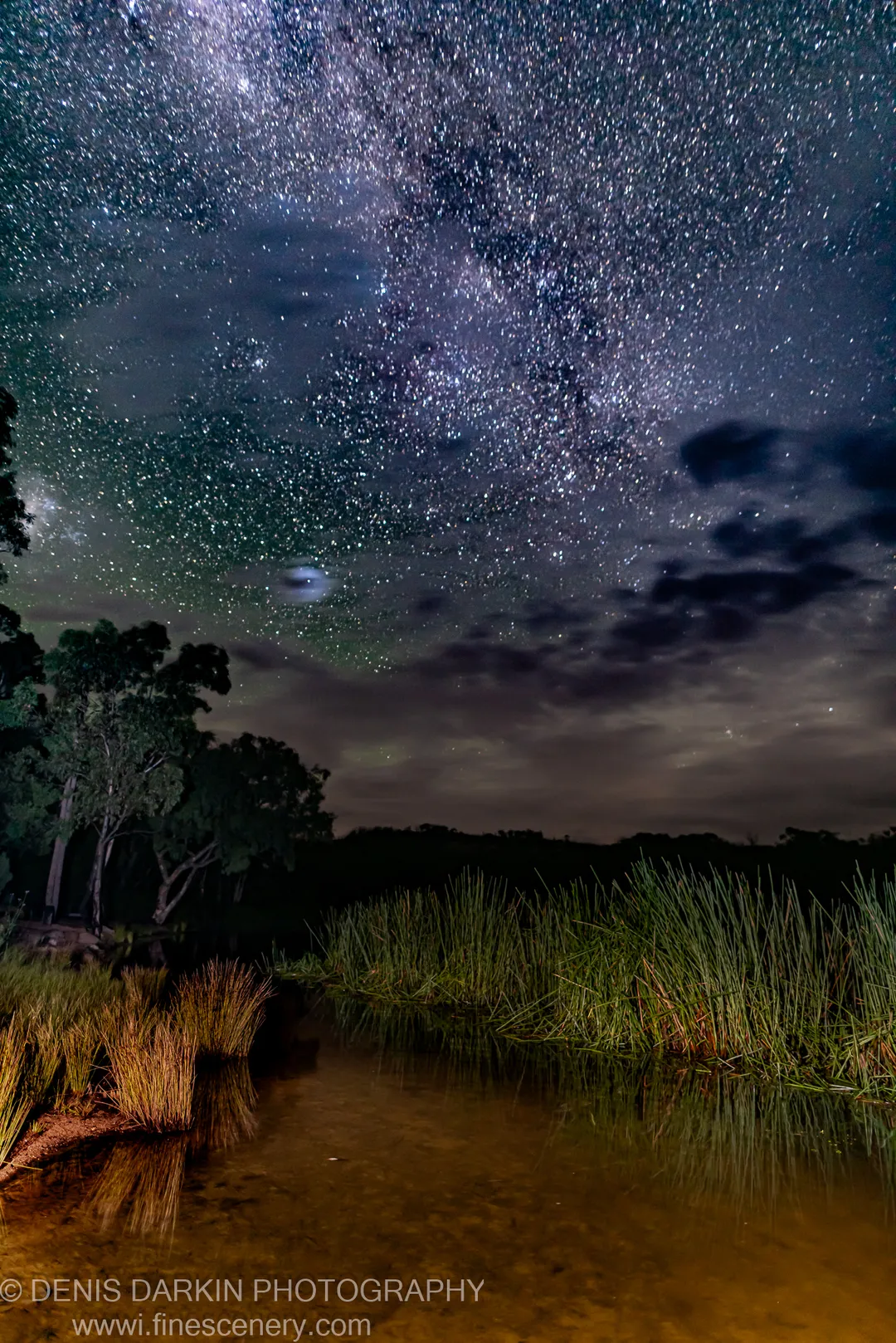 Milky Way band spans the night sky above tall reeds along Dunns Swamp, New South Wales, with a faint moon above the tree line and reflections in calm water below.