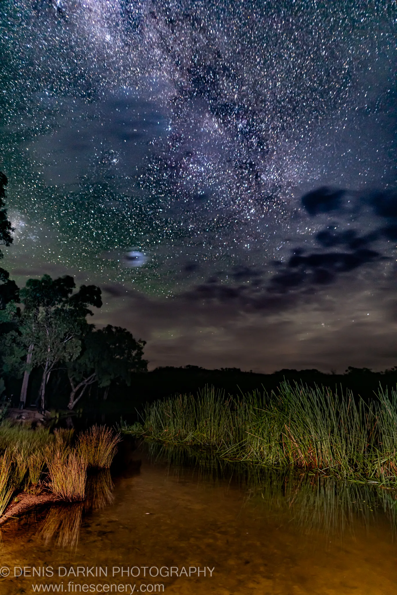 Milky Way band spans the night sky above tall reeds along Dunns Swamp, New South Wales, with a faint moon above the tree line and reflections in calm water below.