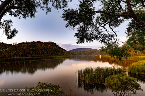 Eucalyptus branches extend over perfectly still water at dusk, with distant hills reflected on the glassy surface at Dunns Swamp, New South Wales.